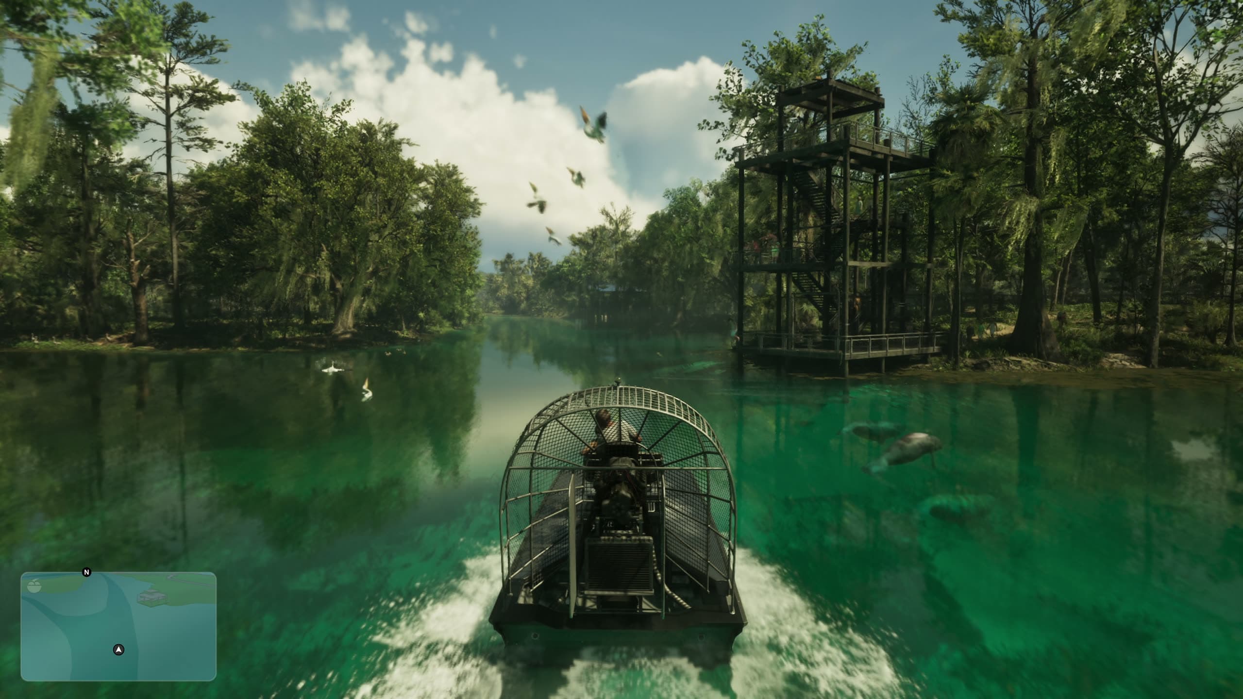 Airboat, image 2