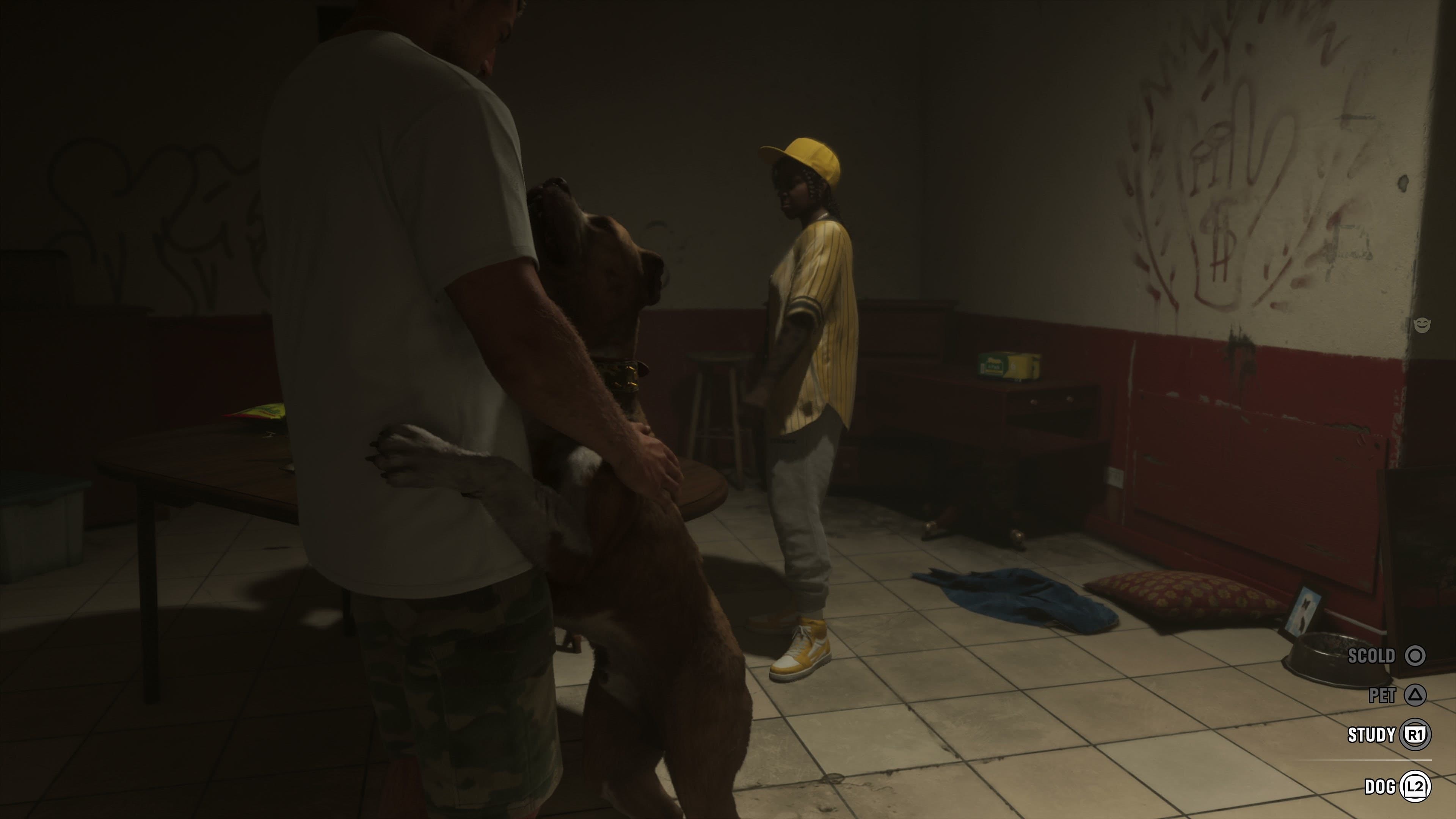Interacting with a dog
