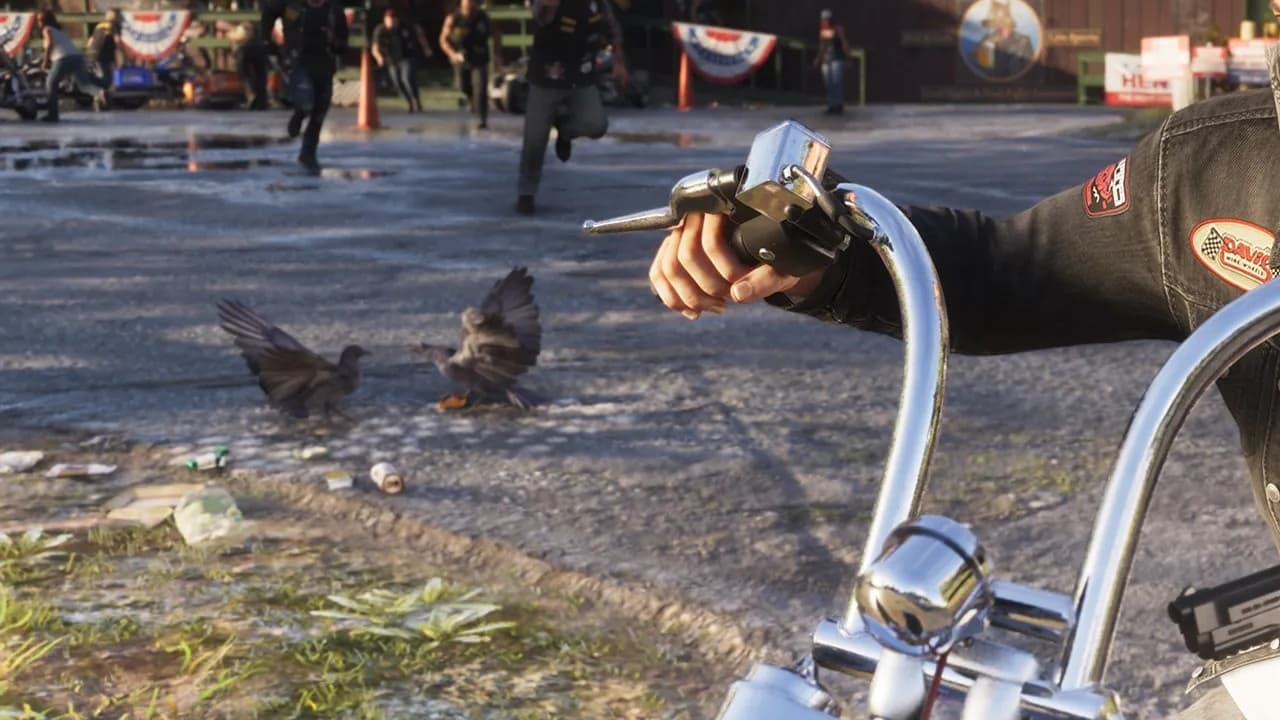 Two grey pigeons flap in The Thirsty Wolf parking lot