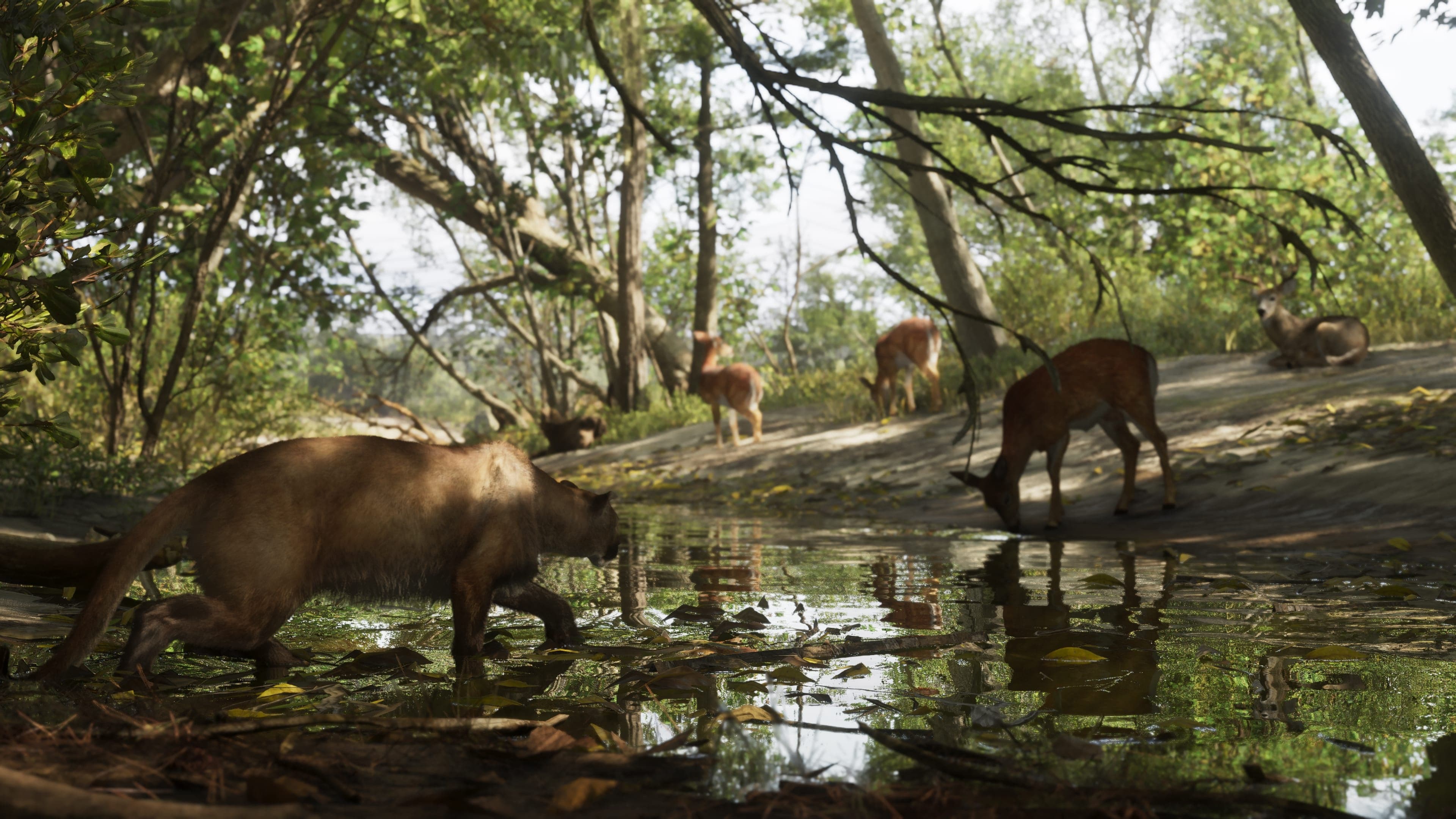Wild animals by a forest creek, one drinking in the foreground and deer behind.